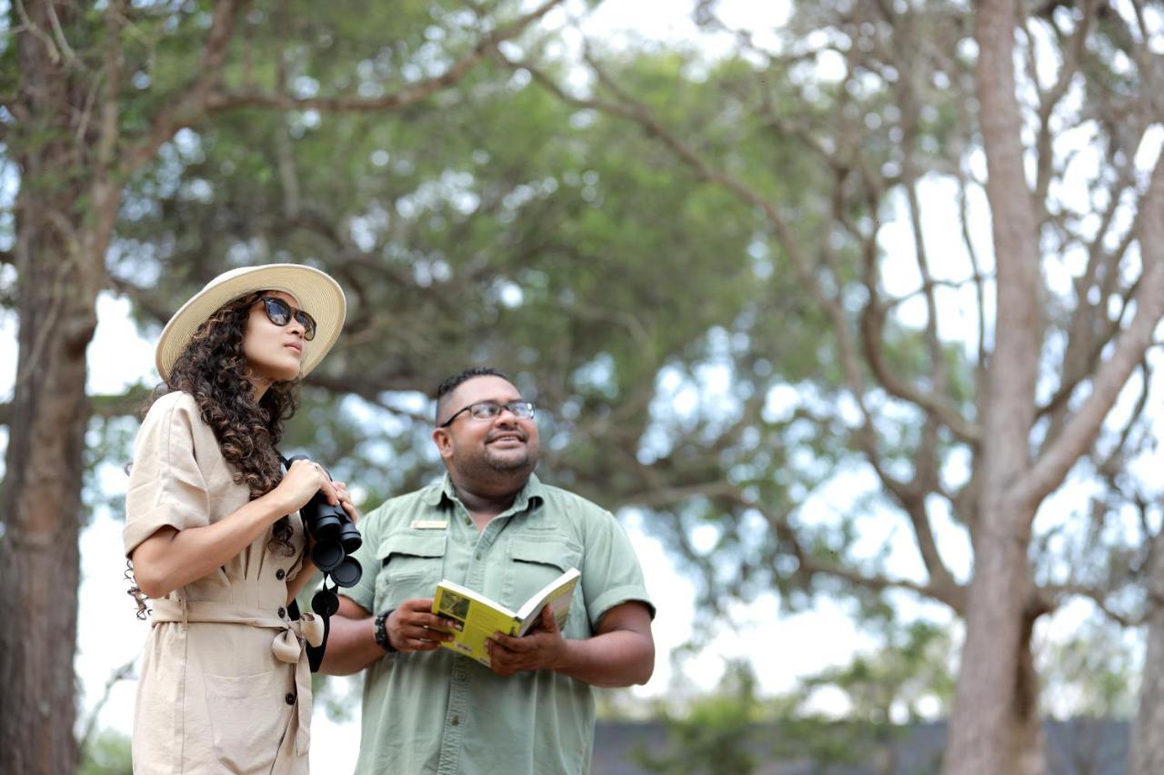 Leopard Trails Yala Hotel ภายนอก รูปภาพ